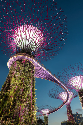 Singapore 1