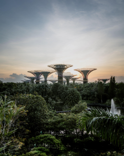 Singapore 4